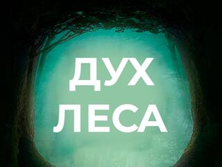Дух леса