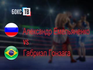 Александр Емельяненко (Россия) - Габриэл Гонзага (Бразилия)