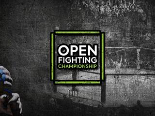MMA. Open Fighting Championship 2