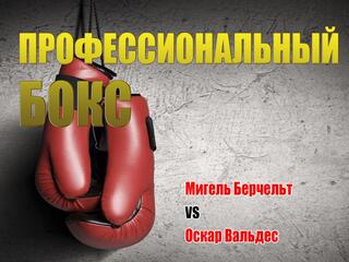 Профессиональный бокс. Мигель Берчельт против Оскара Вальдеса. Бой за титул чемпиона мира по версии WBC. Трансляция из США