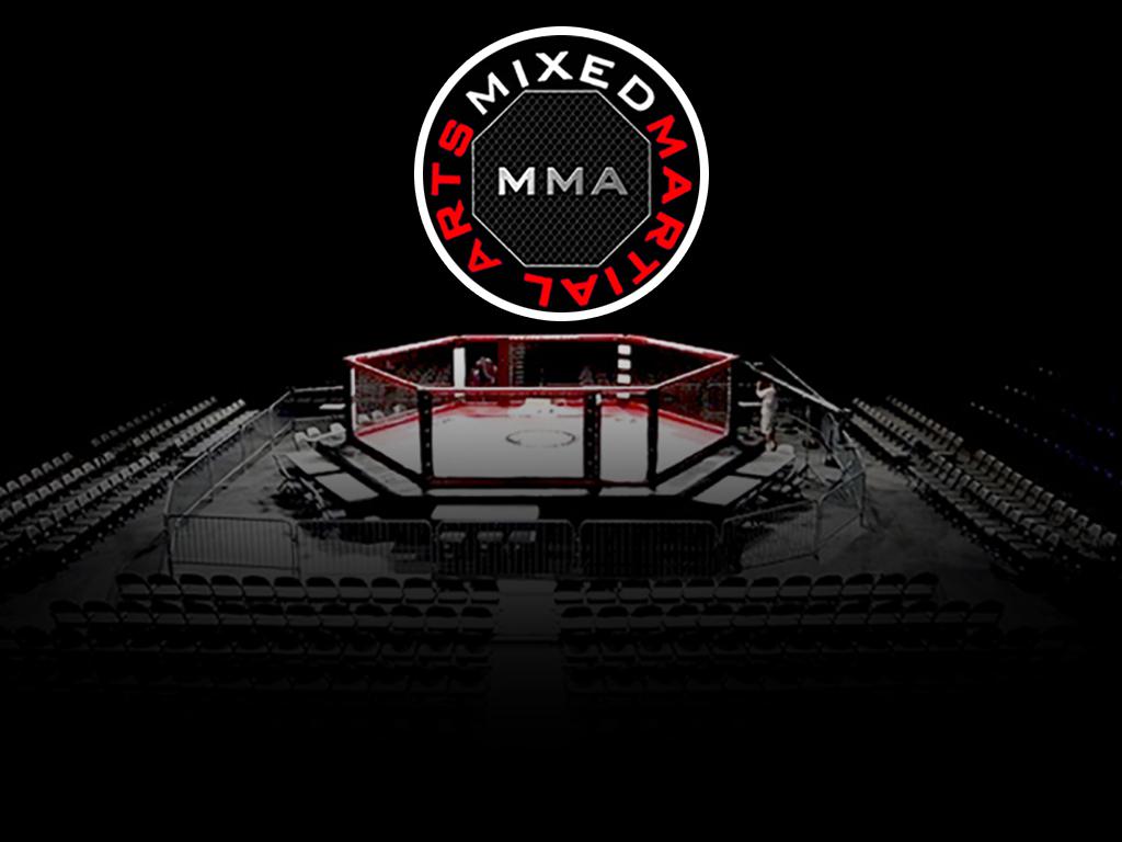 Шоу Bushido Qazaqstan Grand Prix (MMA, кикбоксинг, бокс). Алматы (Казахстан)