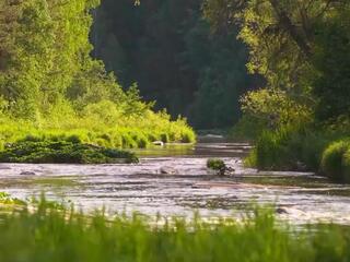 Река Сакмара, вечер