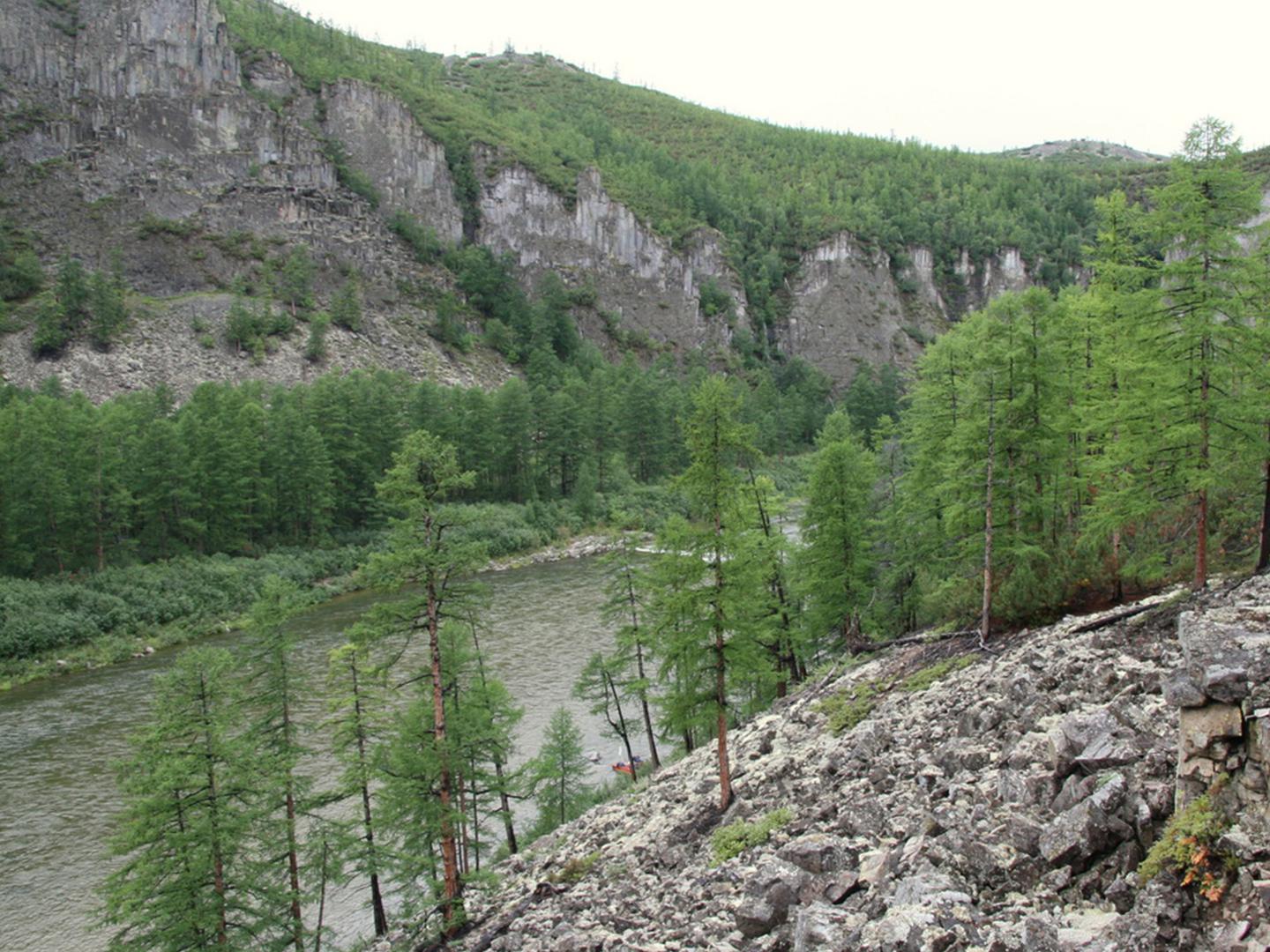 Река Улья. Последний маршрут геолога Гамалеи