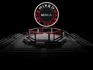 Old Guard: Division 2 (ММА, профессионалы). Павловский Посад (Россия)