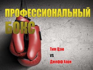 Профессиональный бокс. Тим Цзю против Джеффа Хорна. Трансляция из Австралии