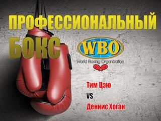 Профессиональный бокс. Тим Цзю против Денниса Хогана. Бой за титул чемпиона WBO Global. Трансляция из Австралии