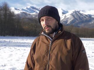 Учёт зубров. Как это происходит