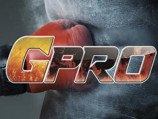Кикбоксинг. G-Pro Russian Open
