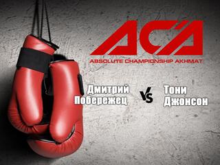 Смешанные единоборства. АСА. Дмитрий Побережец против Тони Джонсона. Трансляция из Белоруссии