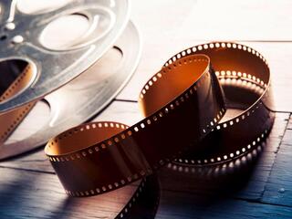 Стражи земли обетованной