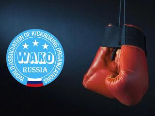 Кикбоксинг. Турнир G-PRO Russian Open