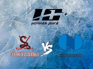 Хоккей. Х Фестиваль Ночной Хоккейной Лиги. Эскулапы - Норникель