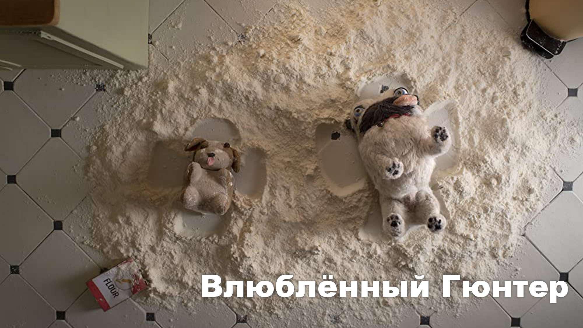 Влюблённый Гюнтер