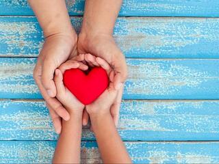 Территория заботы и доброты