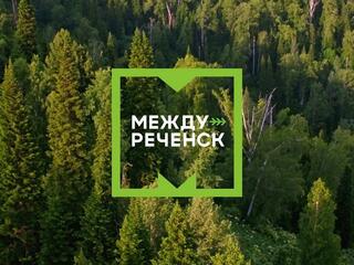 Междуреченск. Город тайги