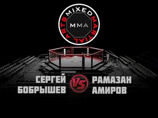 Горилла ММА Серия NAMES. С.Бобрышев vs Р.Амиров