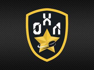 Офицерская хоккейная лига. Финал. Трансляция из Москвы