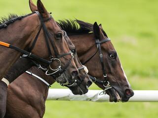 Конные скачки на Призы Главы РС (Я)