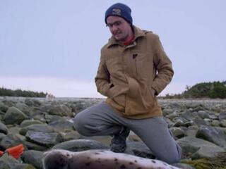 Вся надежда на Хоуп