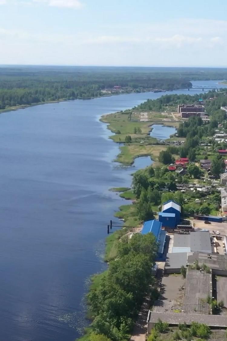 Луга. Время действовать