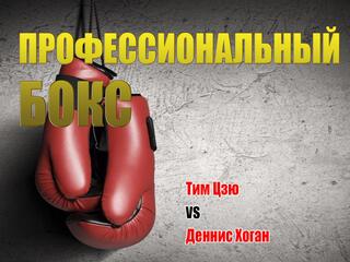 Профессиональный бокс. Тим Цзю против Денниса Хогана. Трансляция из Австралии