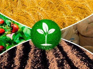 Новые воины на наших полях