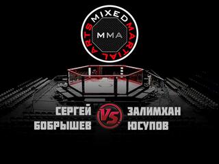 Горилла ММА Серия NAMES. С.Бобрышев vs З.Юсупов