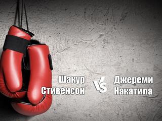 Профессиональный бокс. Шакур Стивенсон против Джереми Накатилы