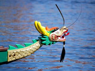 Как приручить дракона