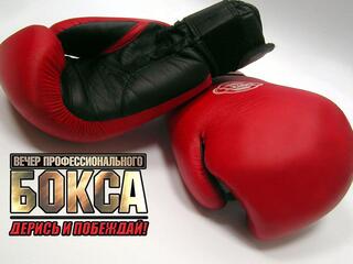 Профессиональный бокс. Турнир "Дерись и побеждай! 61"