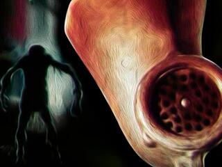 Страсти-матрасти