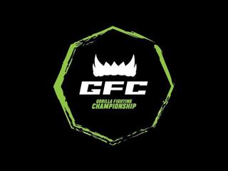 Смешанные единоборста. Gorillas Fighting Championship 25