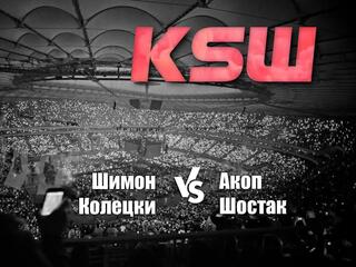 Смешанные единоборства. KSW. Шимон Колецки против Акопа Шостака. Трансляция из Польши