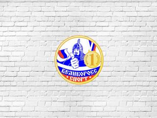 Кубок Великоросса по боевому самбо и ММА, посвященный дню ВДВ