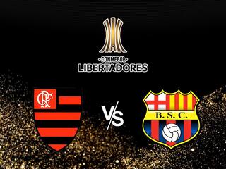 Кубок Либертадорес. 1/2 финала.  Фламенго  (Бразилия) -  Барселона  (Эквадор). 1-й матч