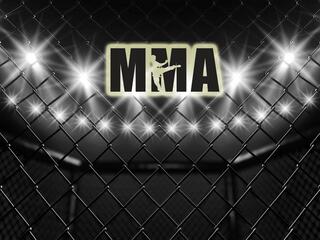 Финал чемпионат России по ММА (любители). Кемерово (Россия)