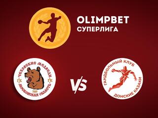 Гандбол. Суперлига. Мужчины. Чеховские Медведи - Донские Казаки-ЮФУ