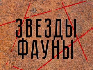 Звезды фауны