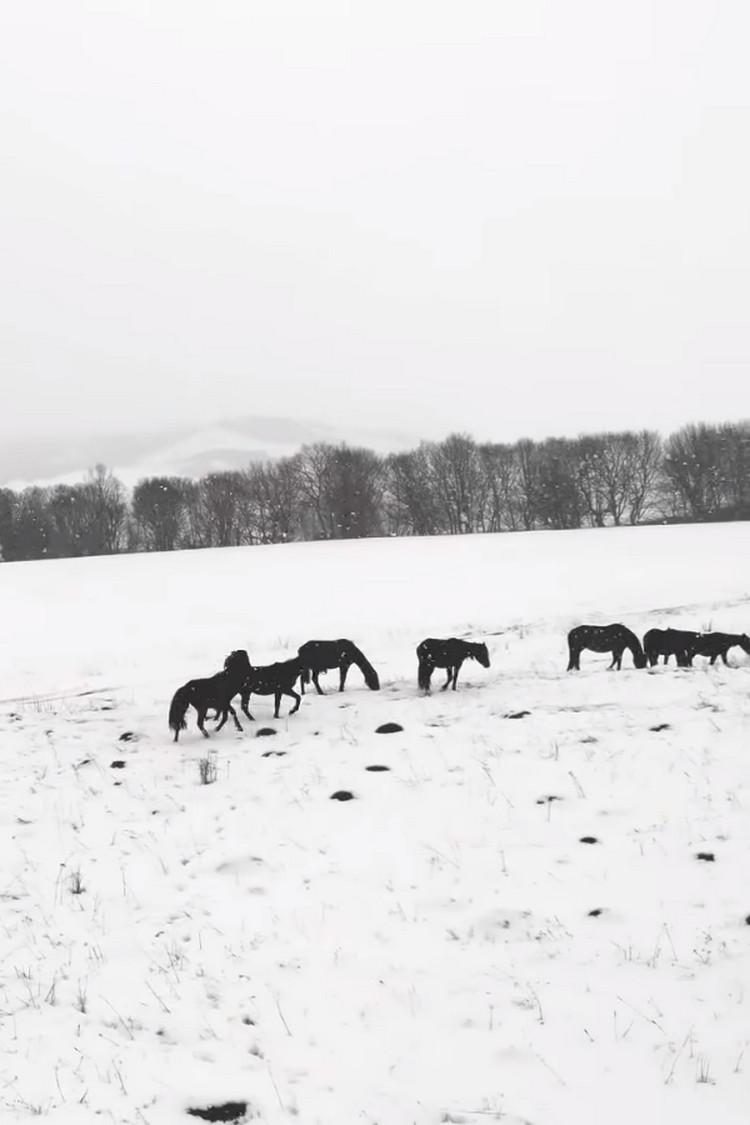 Архыз. Жизнь в автодоме зимой