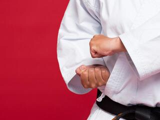 Каратэ. Кубок России