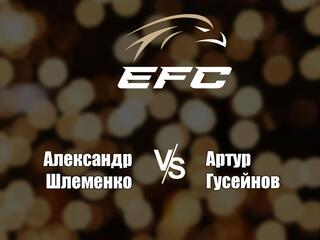 Смешанные единоборства. Eagle FC. Александр Шлеменко против Артура Гусейнова. Трансляция из Сочи