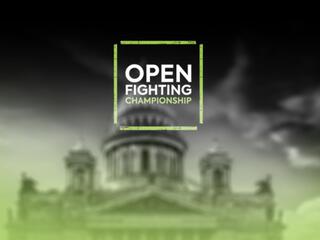 Смешанные единоборства. Турнир "Open Fighting Championship 4"