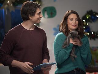 Девять рождественских котят