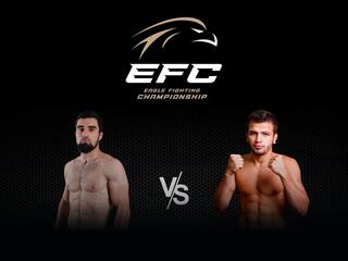 Смешанные единоборства. Eagle FC. Мехди Дакаев против Маккашарипа Зайнукова. Трансляция из Москвы