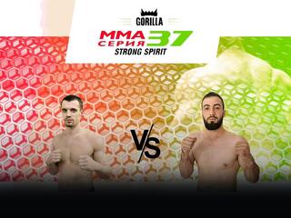 MMA Series Топ-50. 26. ММА Серия - 37: Strong Spirit. Р.Карасев vs Г.Камалутдинов