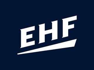 Гандбол. Чемпионат Европы. Мужчины. Финал. Трансляция из Венгрии
