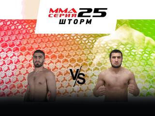 ММА Серия - 25: Шторм. М.Садыгов vs А.Зоидов