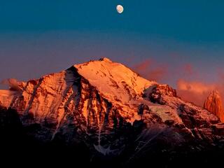 Дикая природа Чили