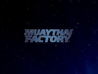 Тайский бокс. Muay Thai Factory. Финалы