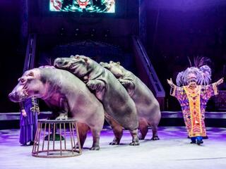 Фильм о шоу Гии Эрадзе "Песчанная сказка"